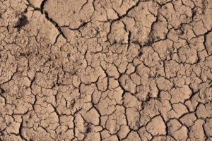 dried ground