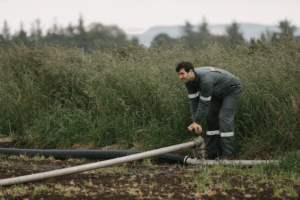 Farming
