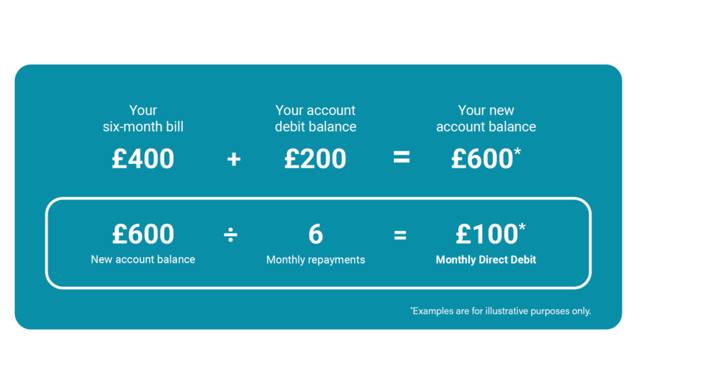 Image showing direct debit monthly payment process while in debit.