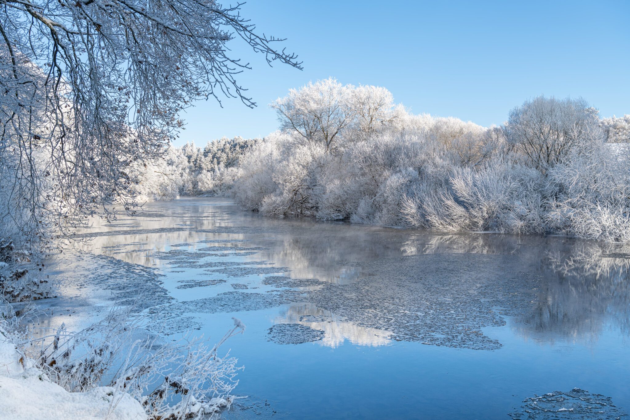 Reflections of snow covered trees in the River Teviot, Scottish Borders, United Kingdom