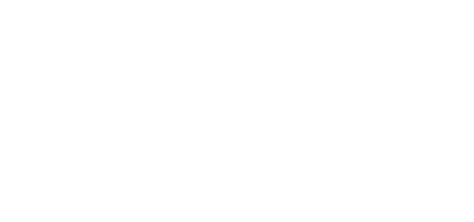 Castle Water Networks